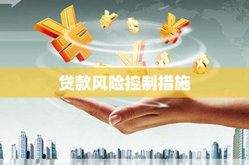 苏澳贷款风险控制措施