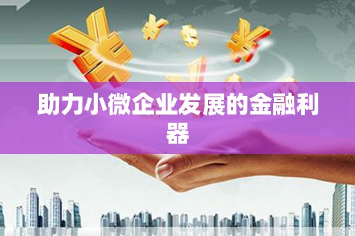 苏澳助力小微企业发展的金融利器